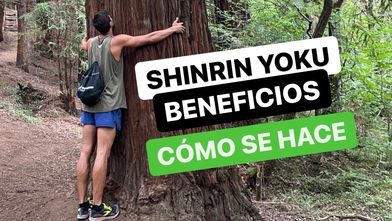 #AltoRendimientoPersonal [Ep.7] SHINRIN YOKU: Para Qué Sirven Los Baños de Bosque
