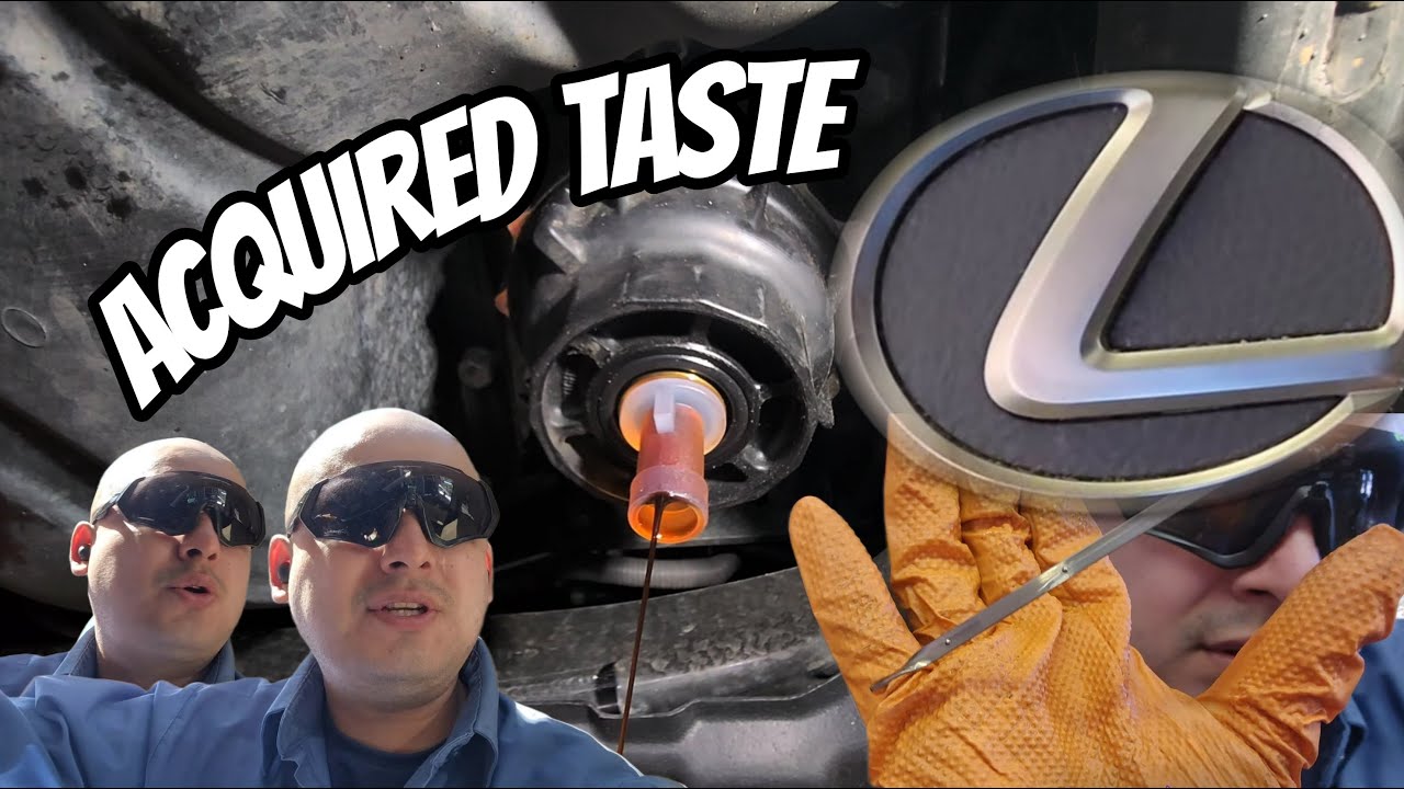 2020 - 2022 Lexus RX350 How to Oil Change & Oil Life Reset