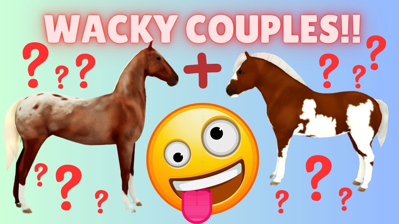 WACKY COUPLES = WACKY FOALS?!? WILD HORSE ISLAND BREEDING!