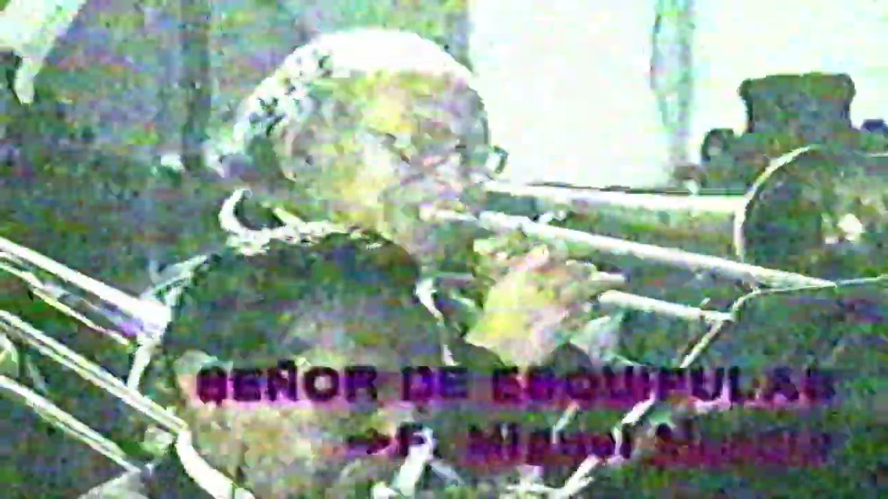 Señor de esquipulas - Fray Miguel Angel Murcia