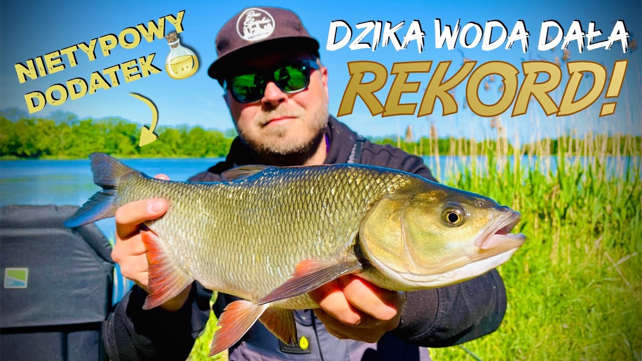 [157] Odrzański zalew skywa piękne okazy. 🤩🐠