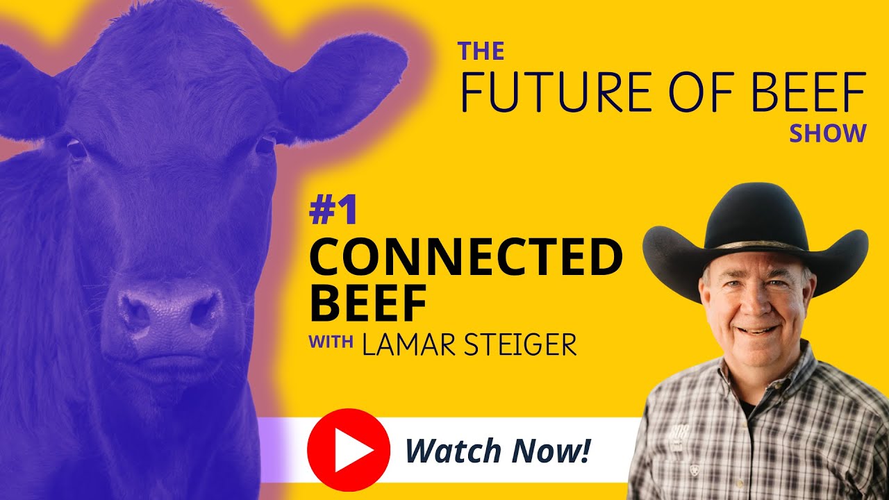 1: Connected Beef with Lamar Steiger