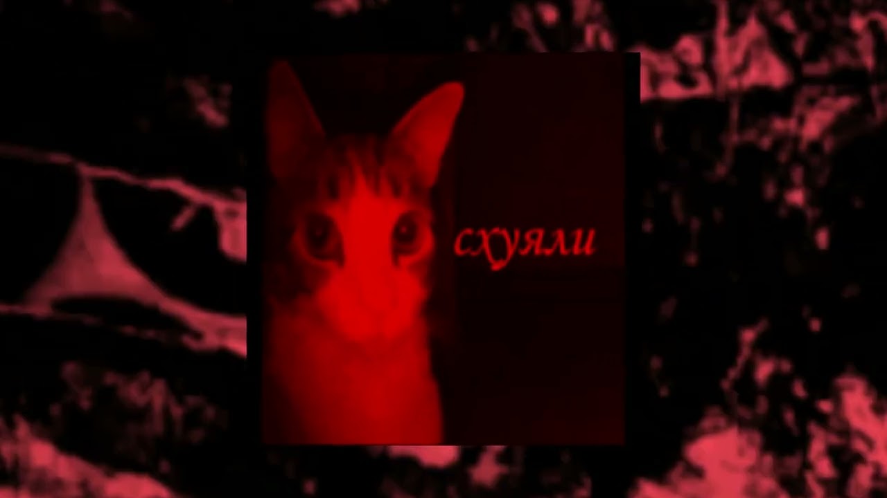 B 146 Bpm EDM Type Beat 2015