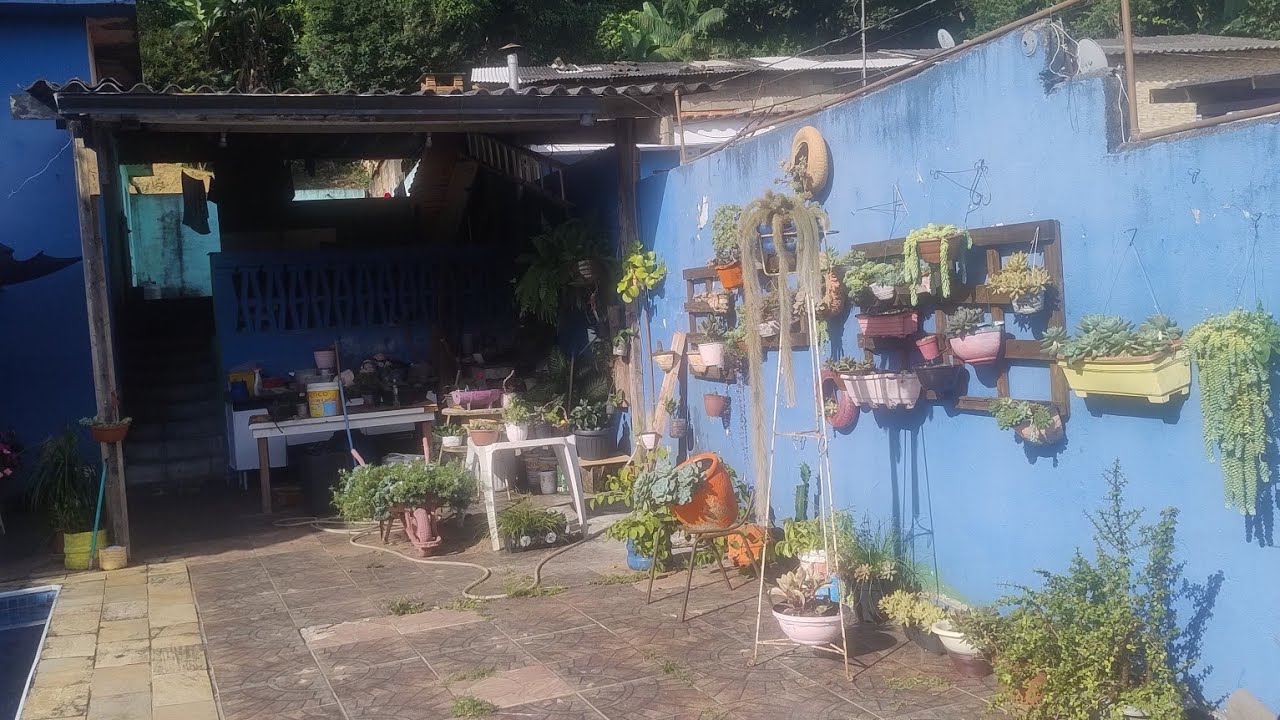 AS PLANTAS e  Seu PODER incrível DE CURA INTERIOR 🙏 🤩🖐️🪴🌹
