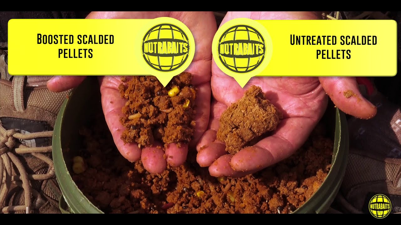 Scalded and Boosted Pellet with Brian Skoyles