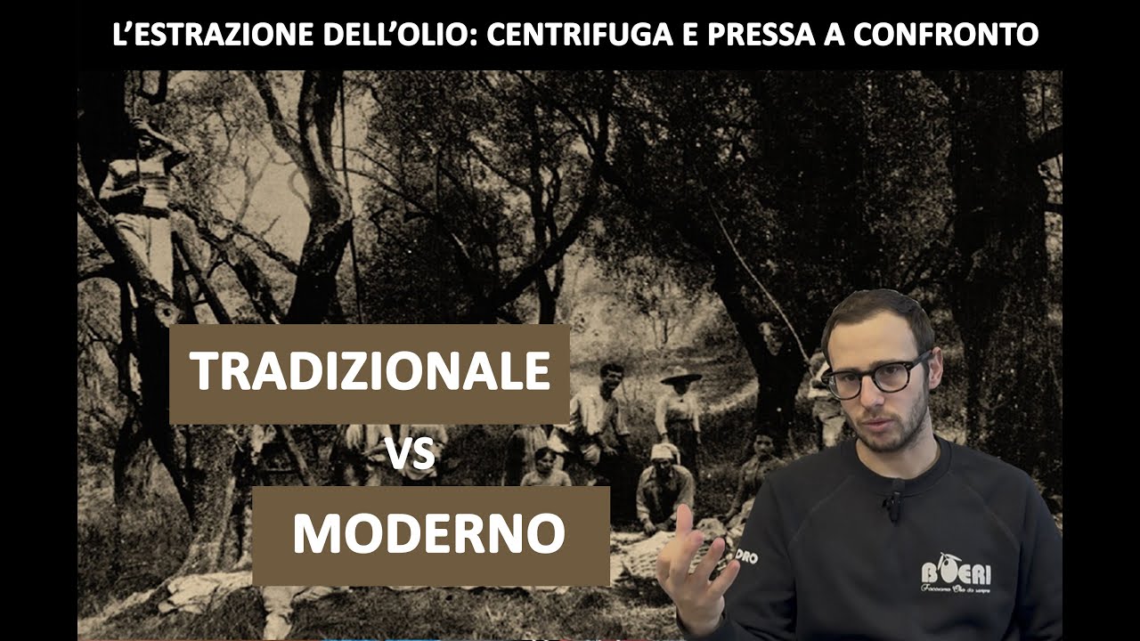 Il modo migliore per estrarre l'olio extravergine: pressa o centrifuga - NON È IL SOLITO OLIO