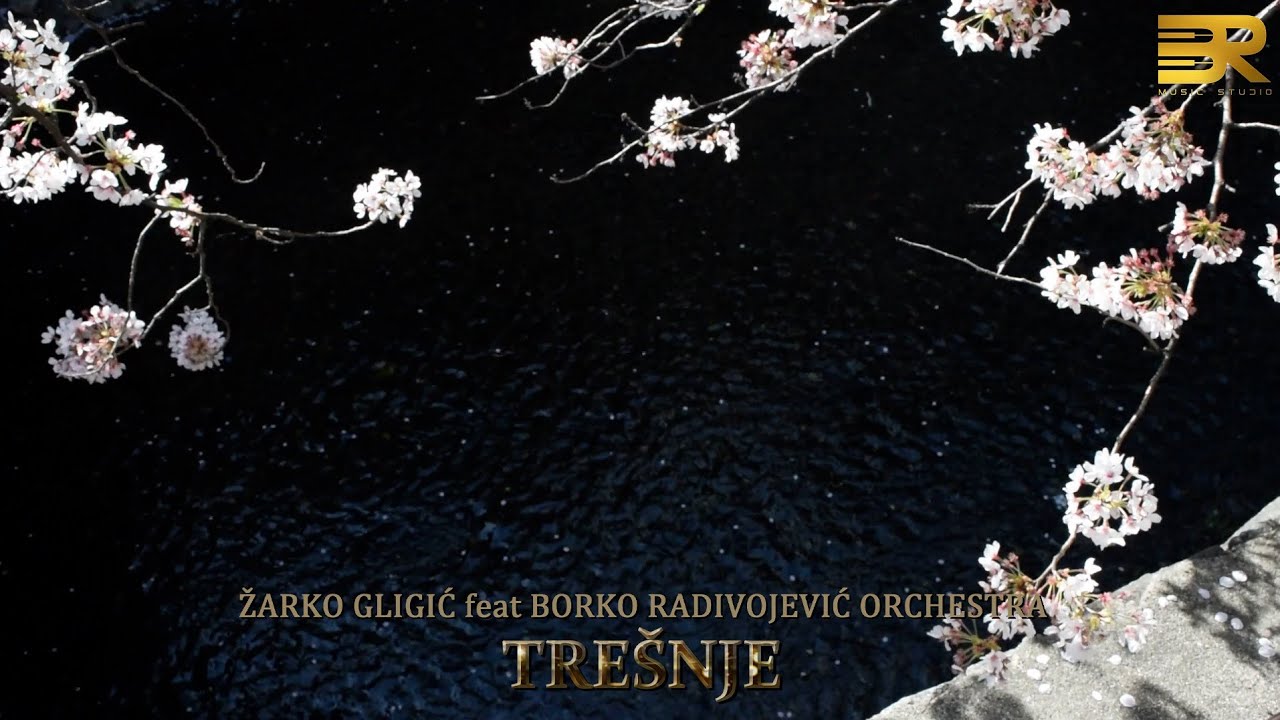 ŽARKO GLIGIĆ feat BORKO RADIVOJEVIĆ ORCHESTRA - TRE&Scaron;NJE