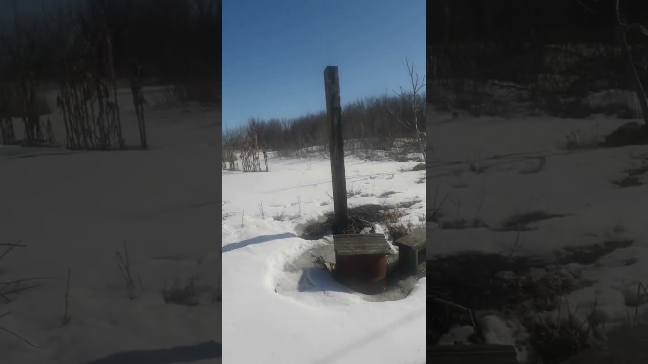 Обычный день из села Молочное 2 серия продолжение