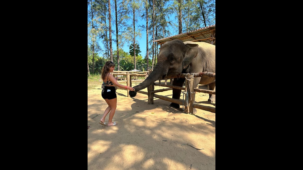 Thailand | APSARA Beachfront Resort and Villa | Elephant Sanctuary, Similan, Phi Phi Islands & more