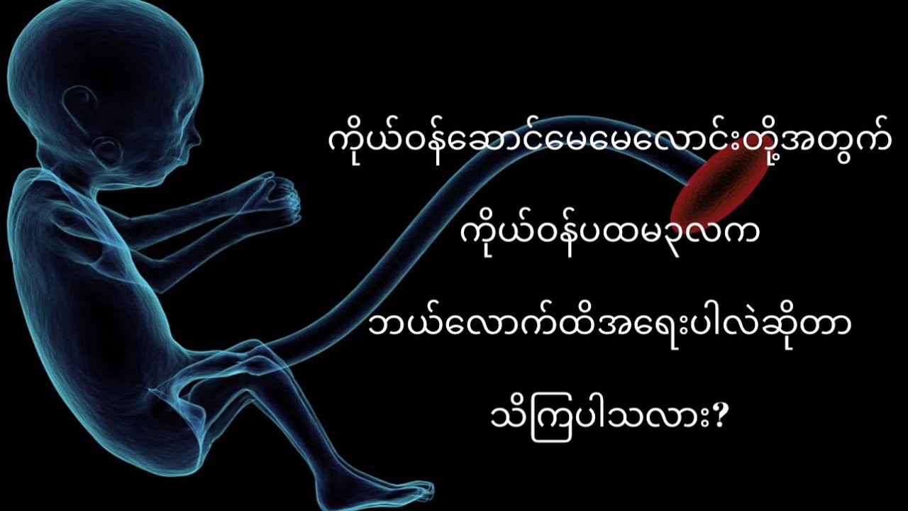ကိုယ်ဝန်ဆောင်မေမေလောင်းတို့ရဲ့ပထမ ကိုယ်ဝန်၃လအကြောင်းနှင့်သန္ဓေသားအဆင့်ဆင့်ပြောင်းလဲလာပုံ