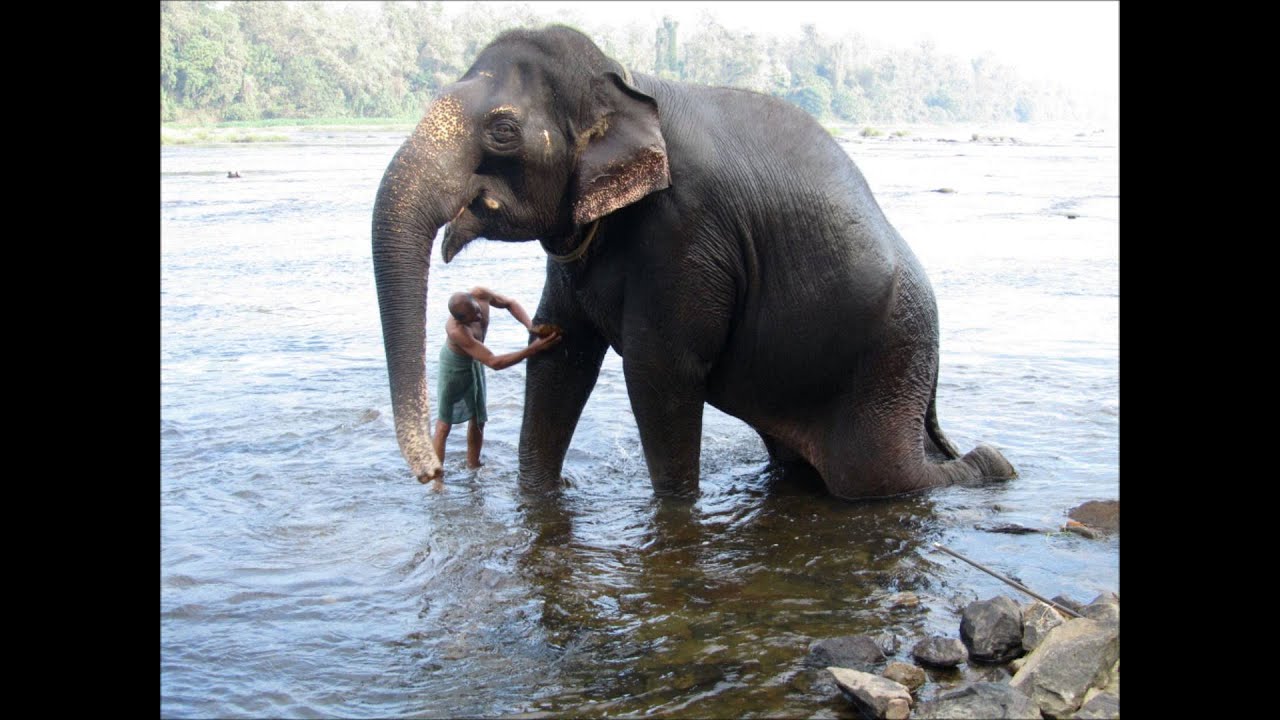Francis Poulenc - The Story of Babar
