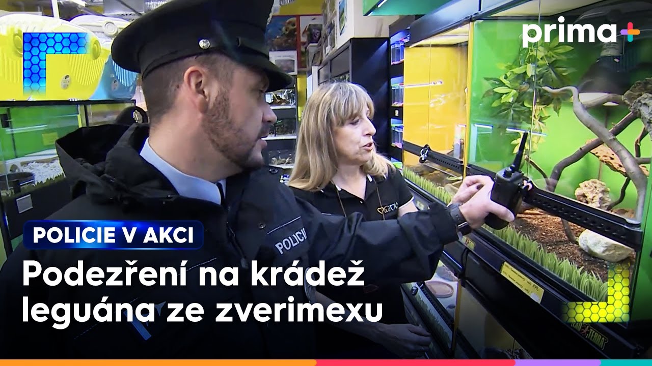 Leguán Arnold zmizel z terária zverimexu | Policie v akci