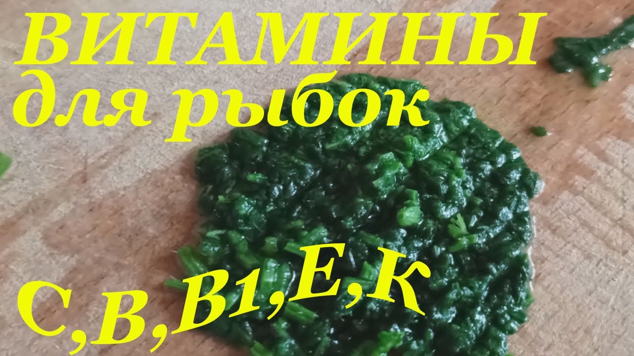 Летний полезный корм для рыбок своими руками Витамины для рыбок в аквариуме