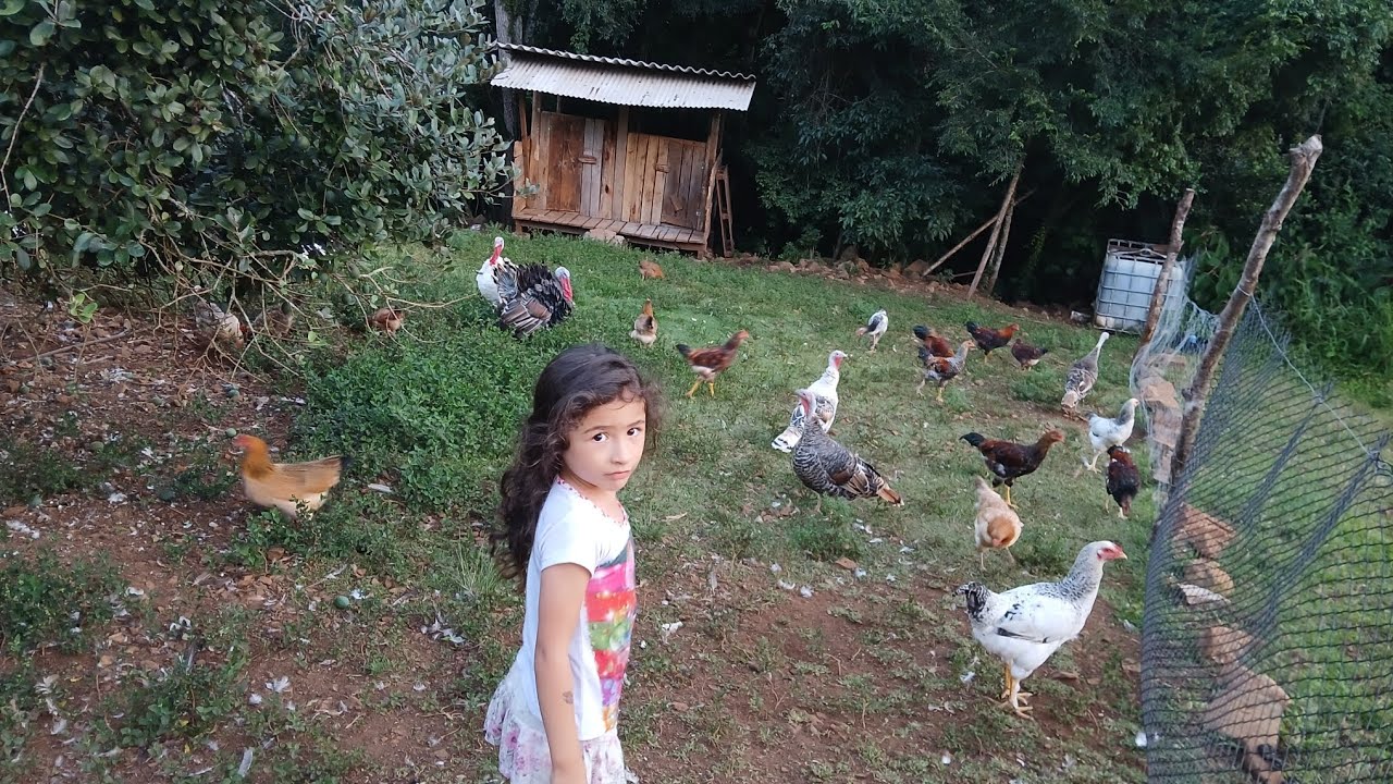 Fim de tarde por aq ,mostrando os nossos animais e  muitas plantas lindas #gratidão 