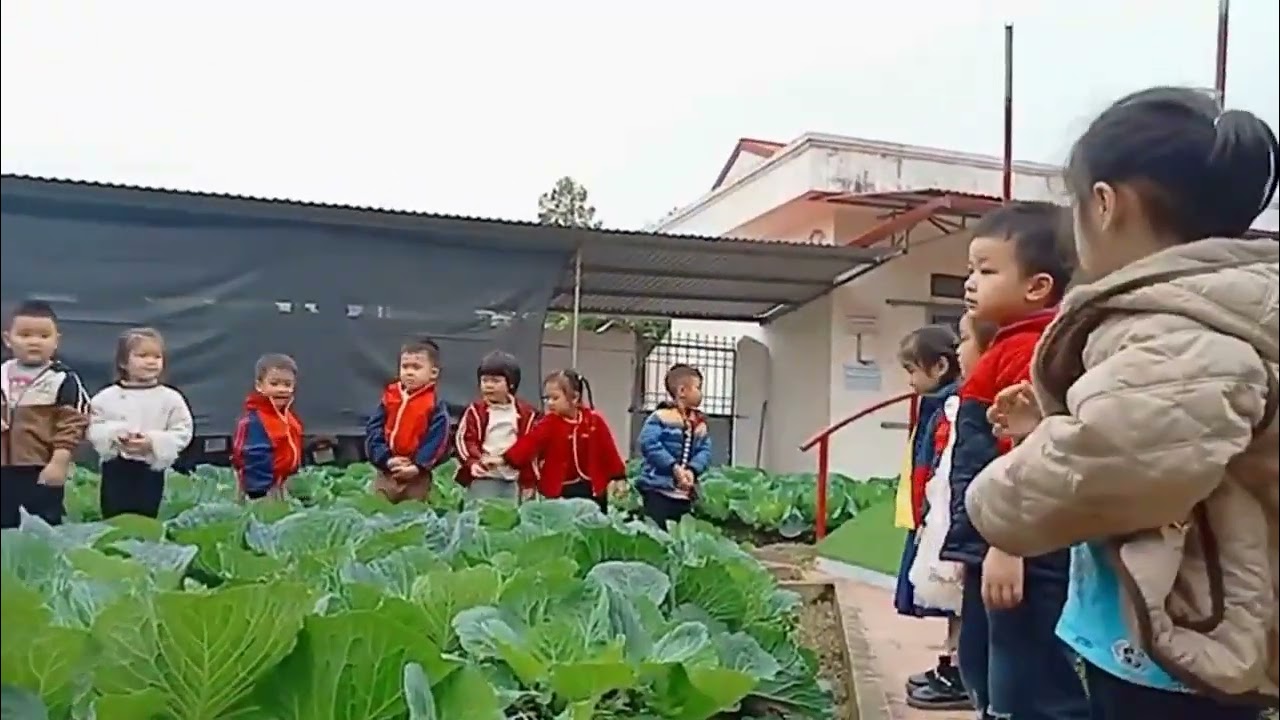 VDEO: HĐNT QS VƯỜN RAU LỚP 4-5 TUỔI A2