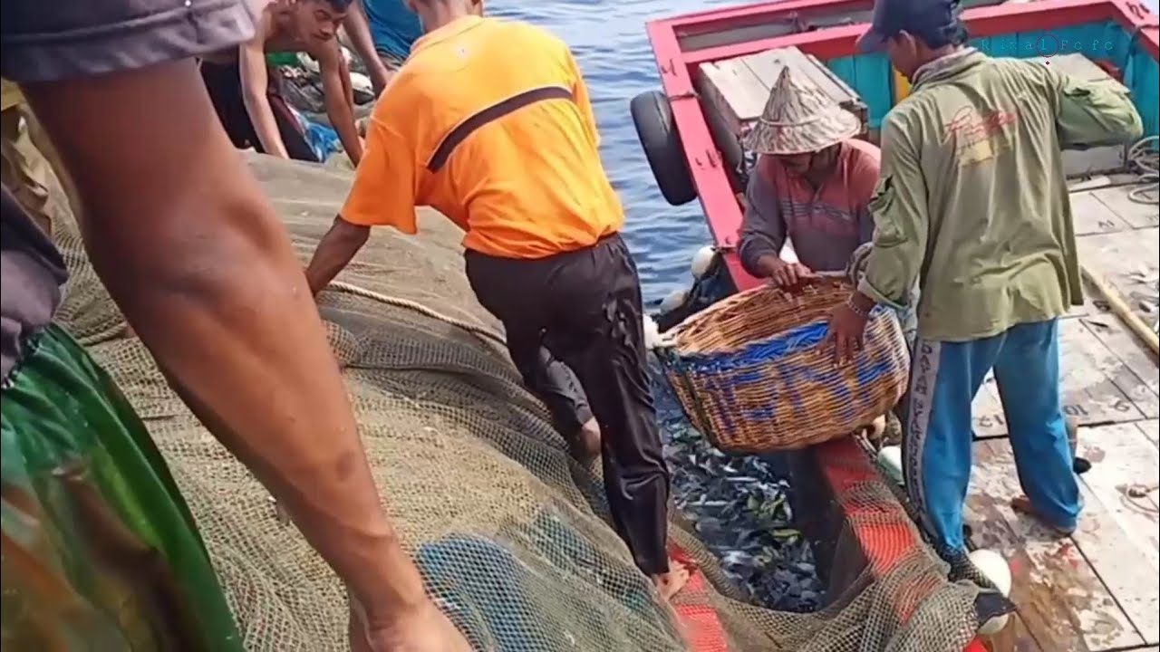 KAPAL PUKAT IKAN KM NURI Labuh Pukat dimalam hari | ikan KEMBUNG | Tradisional Fishing Trawlers