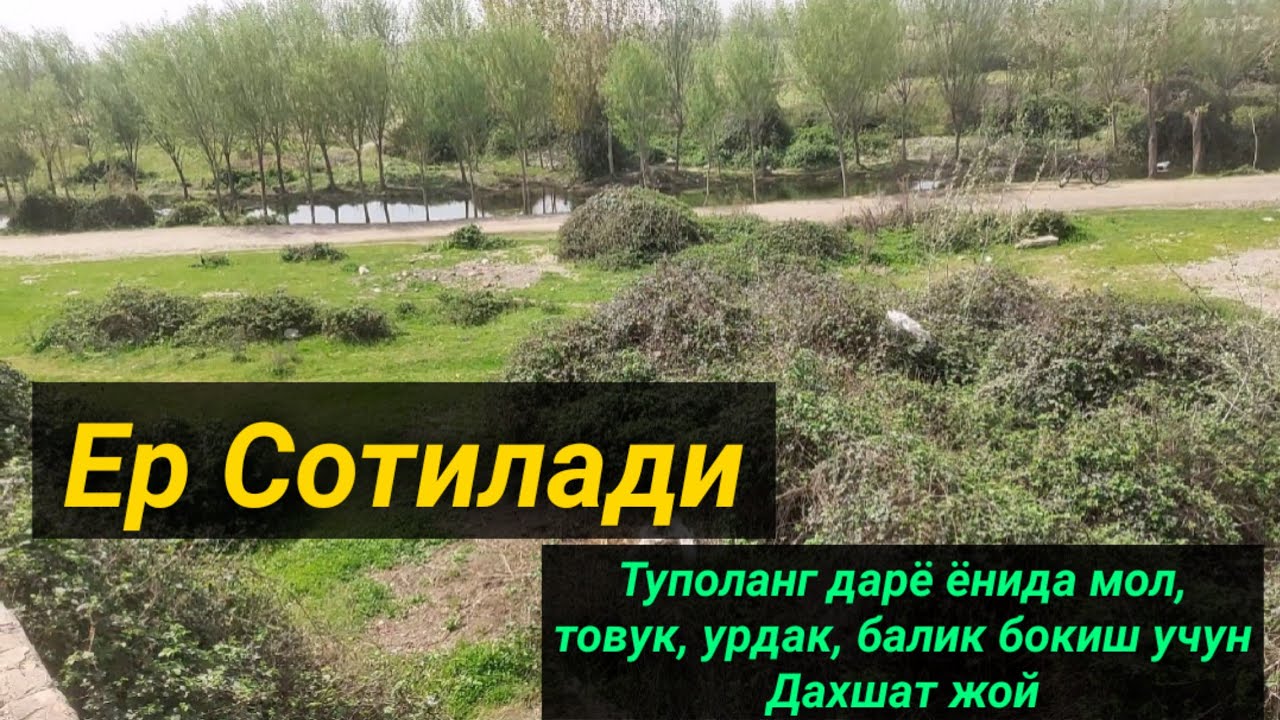 Ер Сотилади 12 сотих Узун тумани. тел +998919091009