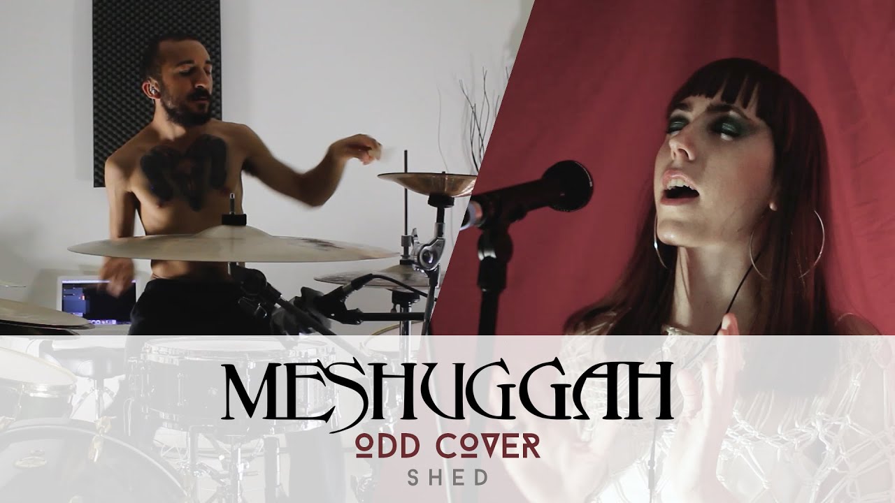 Meshuggah - Shed | Odd Cover by Adam & Heli