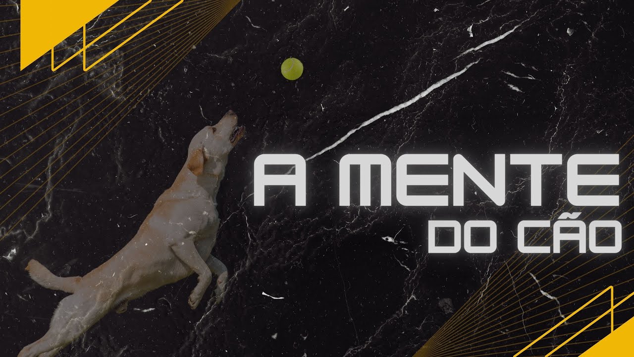 Entenda A MENTE do seu cão!