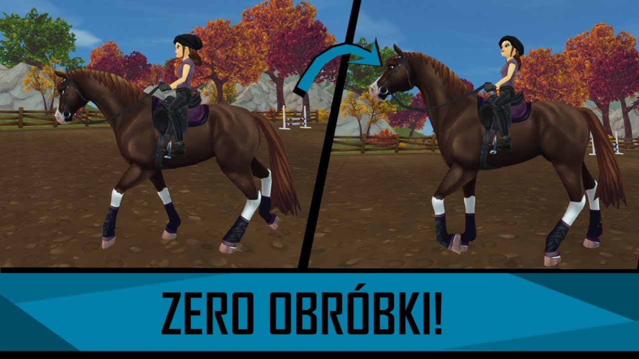 ZDJĘCIA DO RRP BEZ EDYCJI- 5 LIFEHAKC&Oacute;W Starstable