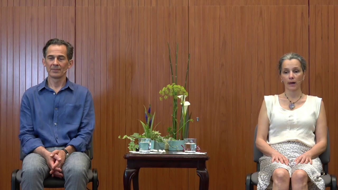 Meditación: La Apertura Consciente En La Que Aparece Toda Experiencia
