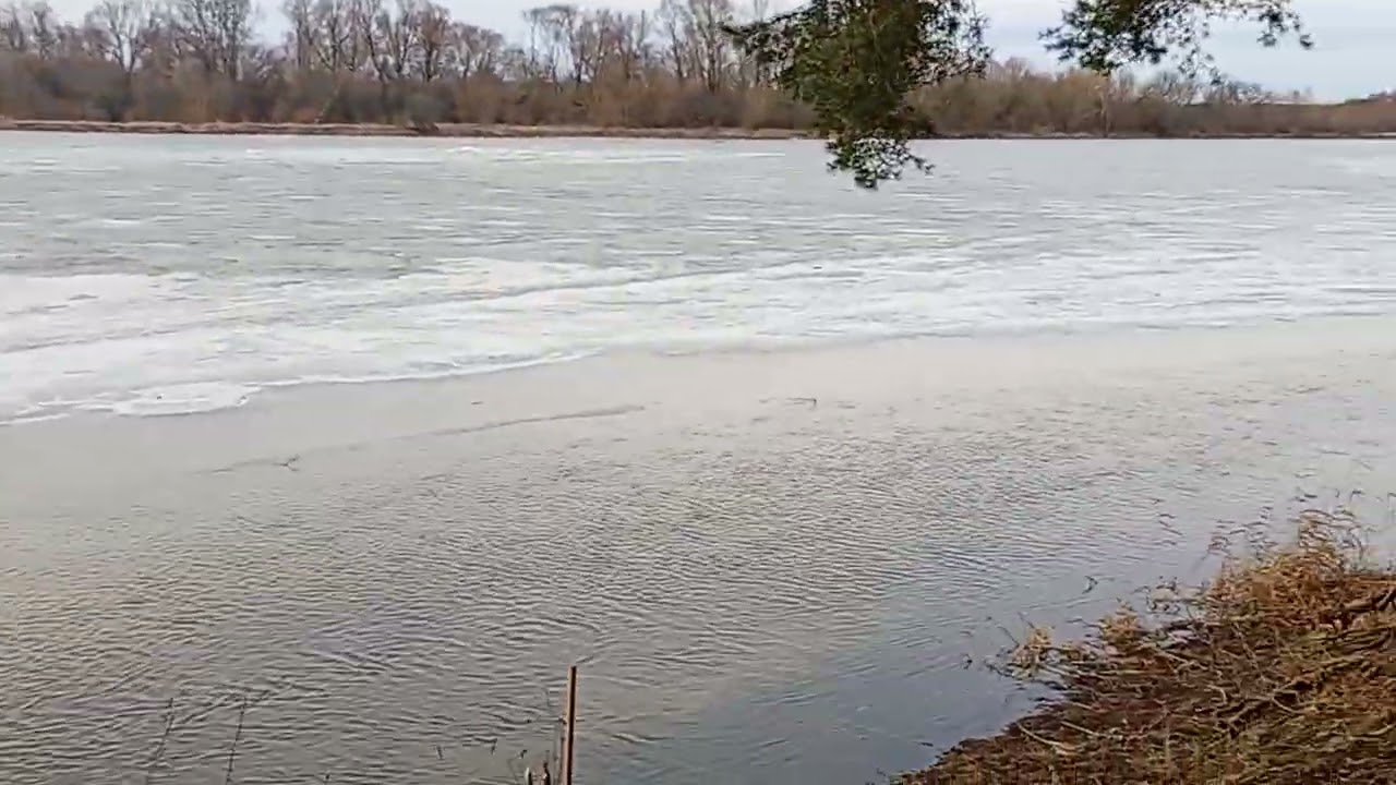 Bug Młynarze 01.03.2026