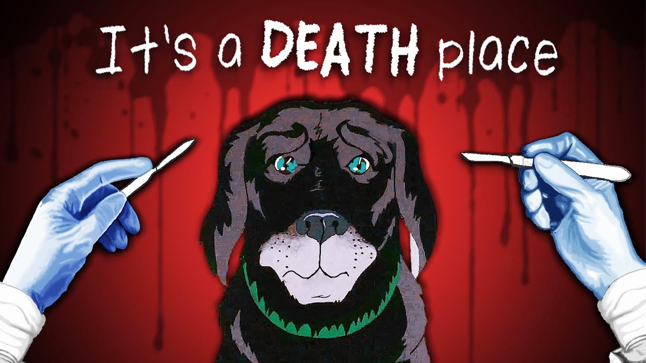 The Darkest Animated Movie You Haven't Seen
