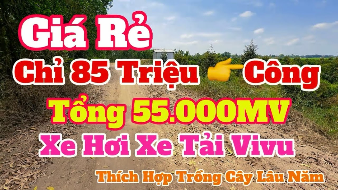 (Số 902) Giá Cực Rẻ Chỉ 💥85Triệu/1Công Tổng 55 Công/ Thích Hợp Chăn Nuôi Trồng Cây Lâu Năm