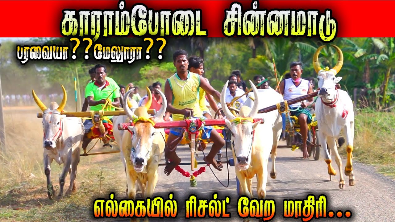 3காராம்போடை-சின்னமாடு-பந்தயம்_26.04.2025_OOR_KURUVI2.0