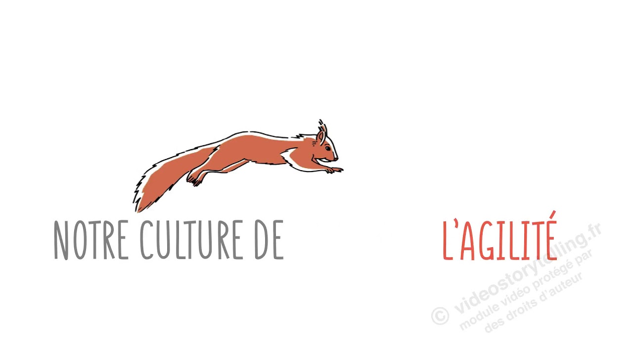 Notre culture de l'agilit&eacute; - Offre video main qui dessine - Videostorytelling by N&eacute;ologis