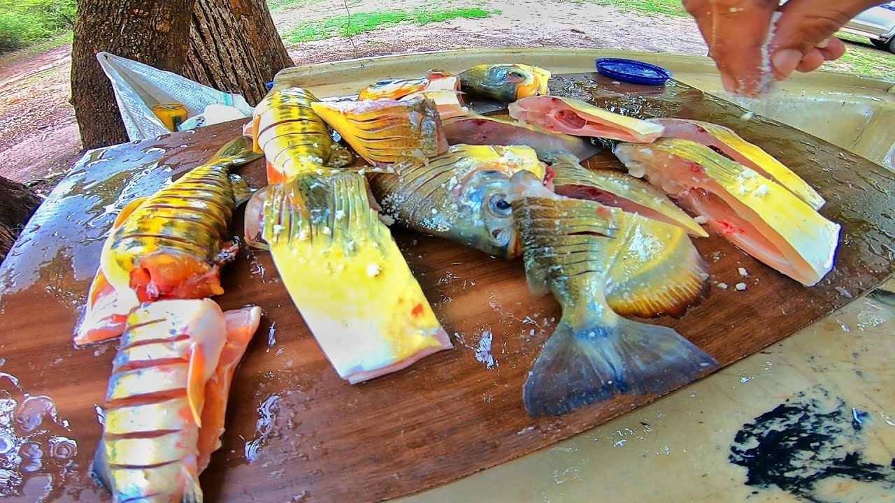 SERA Q OS 400 KM VALERAM A PENA??? - família na pesca