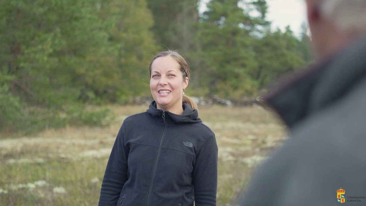 &Aring;tg&auml;rder f&ouml;r att gynna vilda pollinat&ouml;rer
