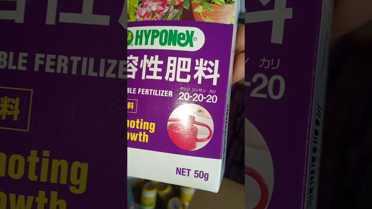 PH&Acirc;N B&Oacute;N L&Aacute; NHẬT BẢN 20 20 20