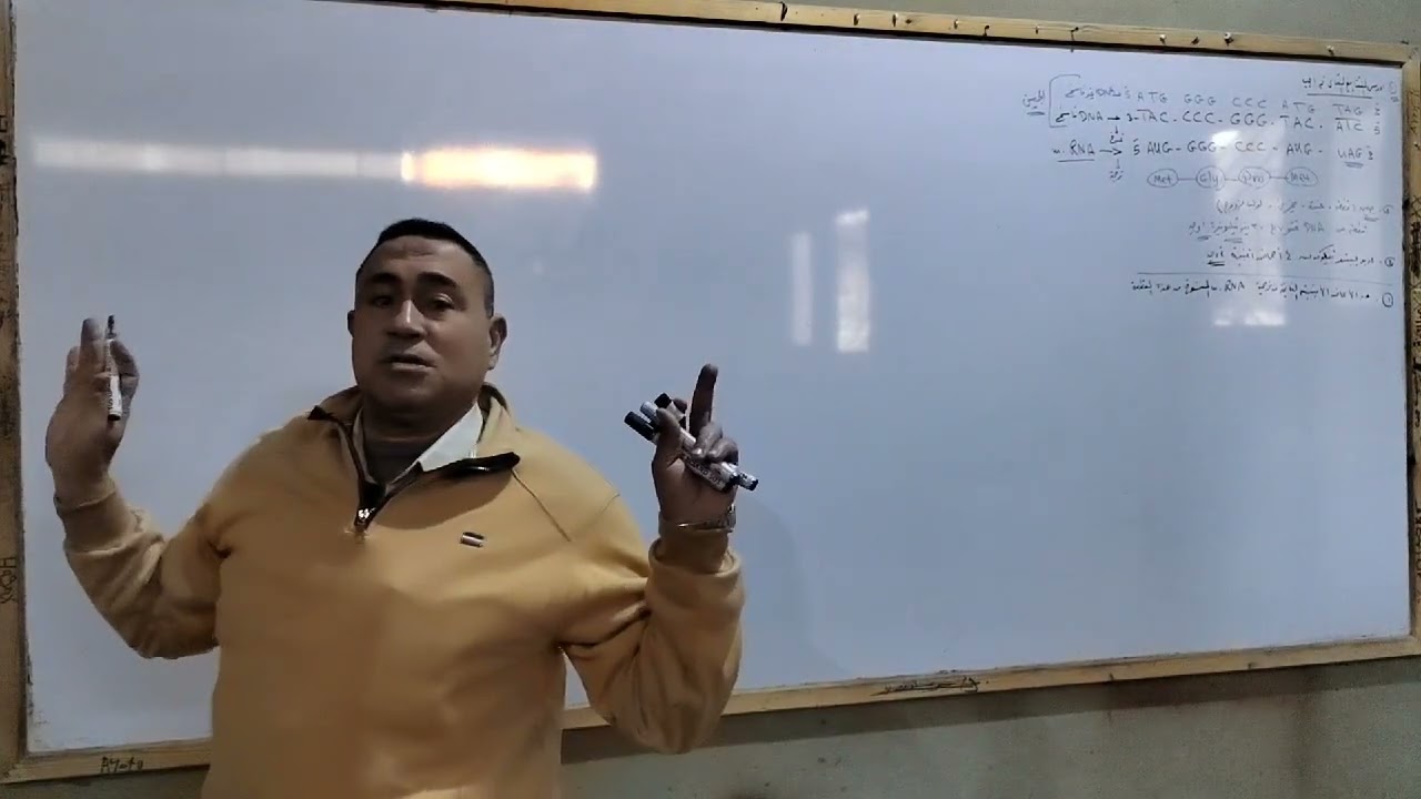 حل مسائل RNA 