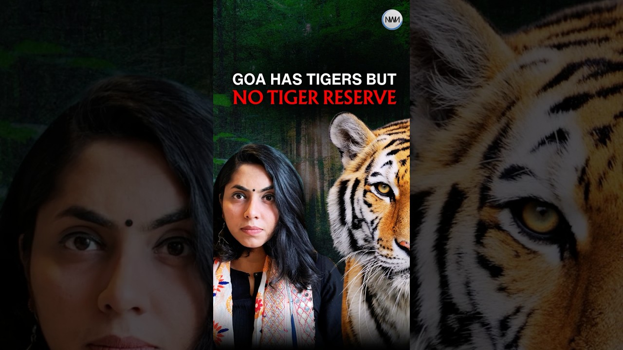 Why is Goa REFUSING a Tiger Reserve?