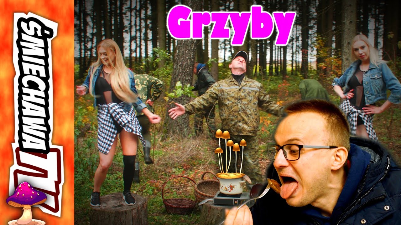 Grzyby 