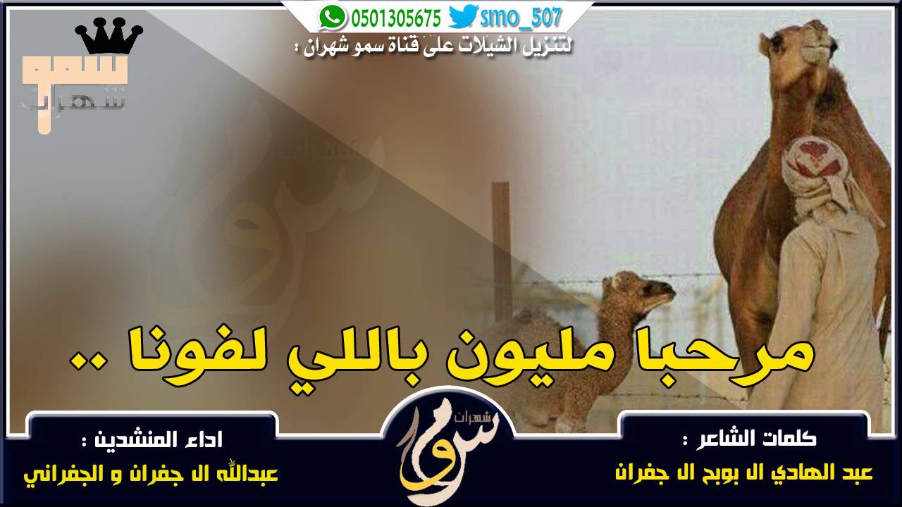 شيلة مرحبا مليون باللي لفونا | الجفراني و عبدالله ال جفران | 2016