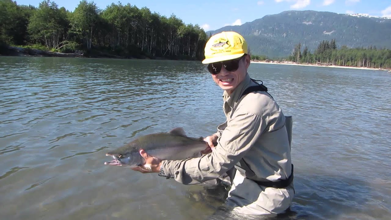 Release Pink Salmon on Kitimat River