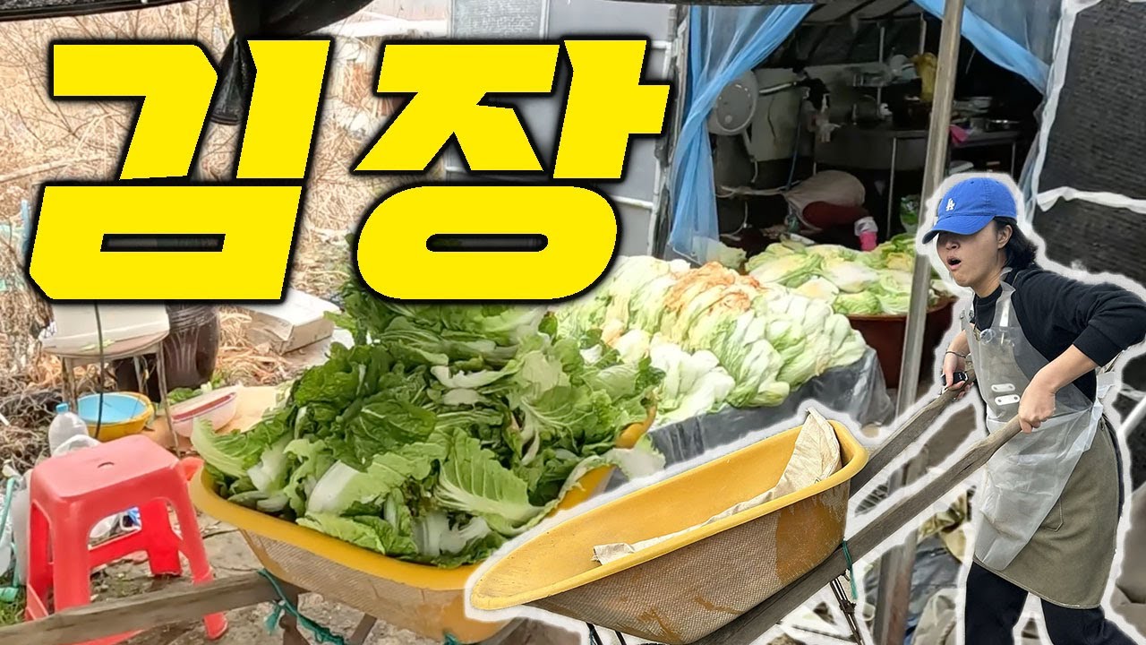 김장.. 사고나 안 치면 다행