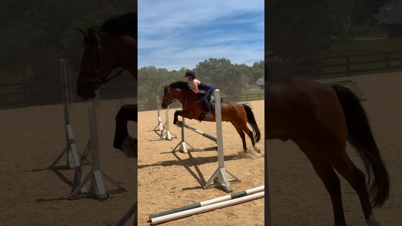Ostatnio było tak gorąco #eventing #prinzsw
