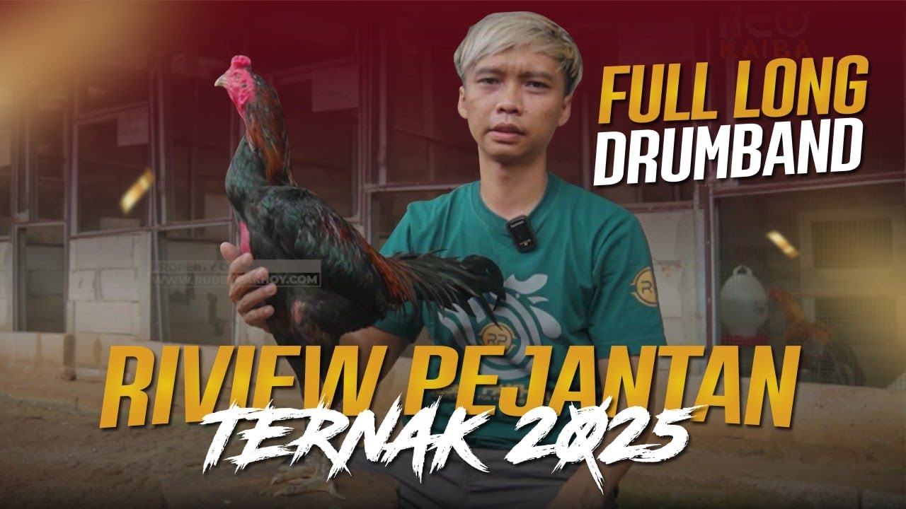 REVIEW PEJANTAN DAN INDUKAN TERNAK 2025 FULL LONG DRUMBAND