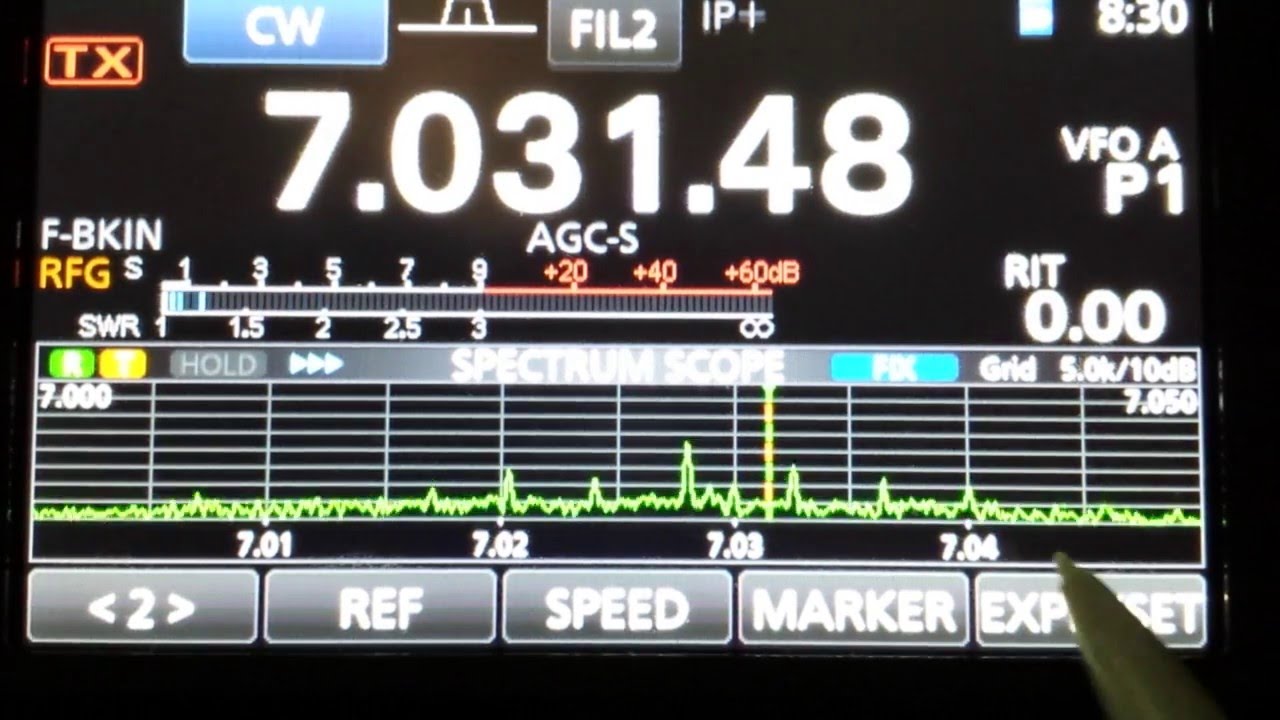 IC-7300 With No-Fill Spectrum