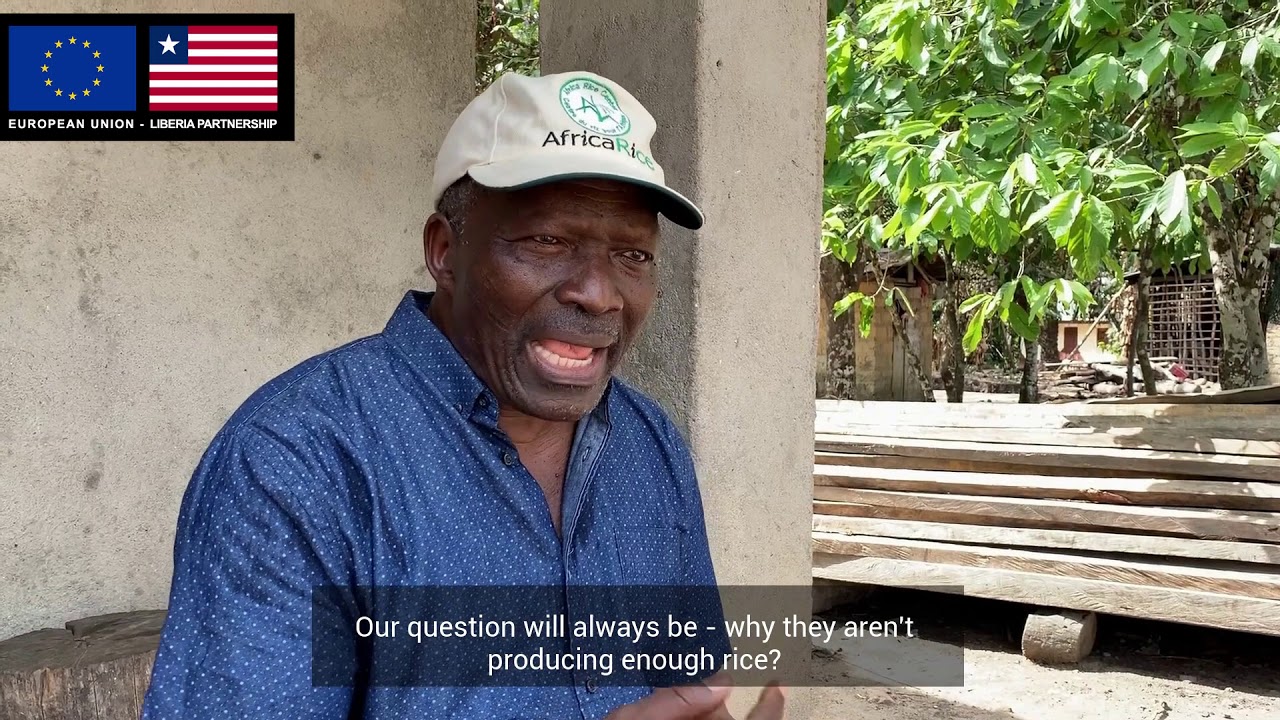 Rice & Fish Farming