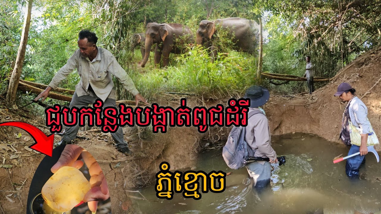 ជួបកន្លែងបង្កាត់ពូជដំរីនៅភ្នំខ្មោច