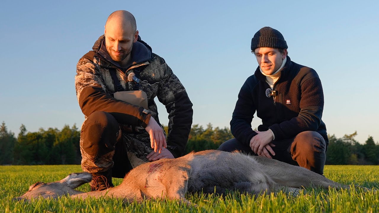 Min f&oslash;rste jagt - nedl&aelig;gger krondyr