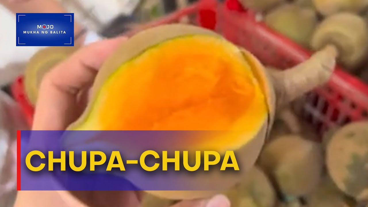 Chupa-chupa na nagmula sa Amazon rainforest, nasa Pilipinas na rin | Mukha ng Balita