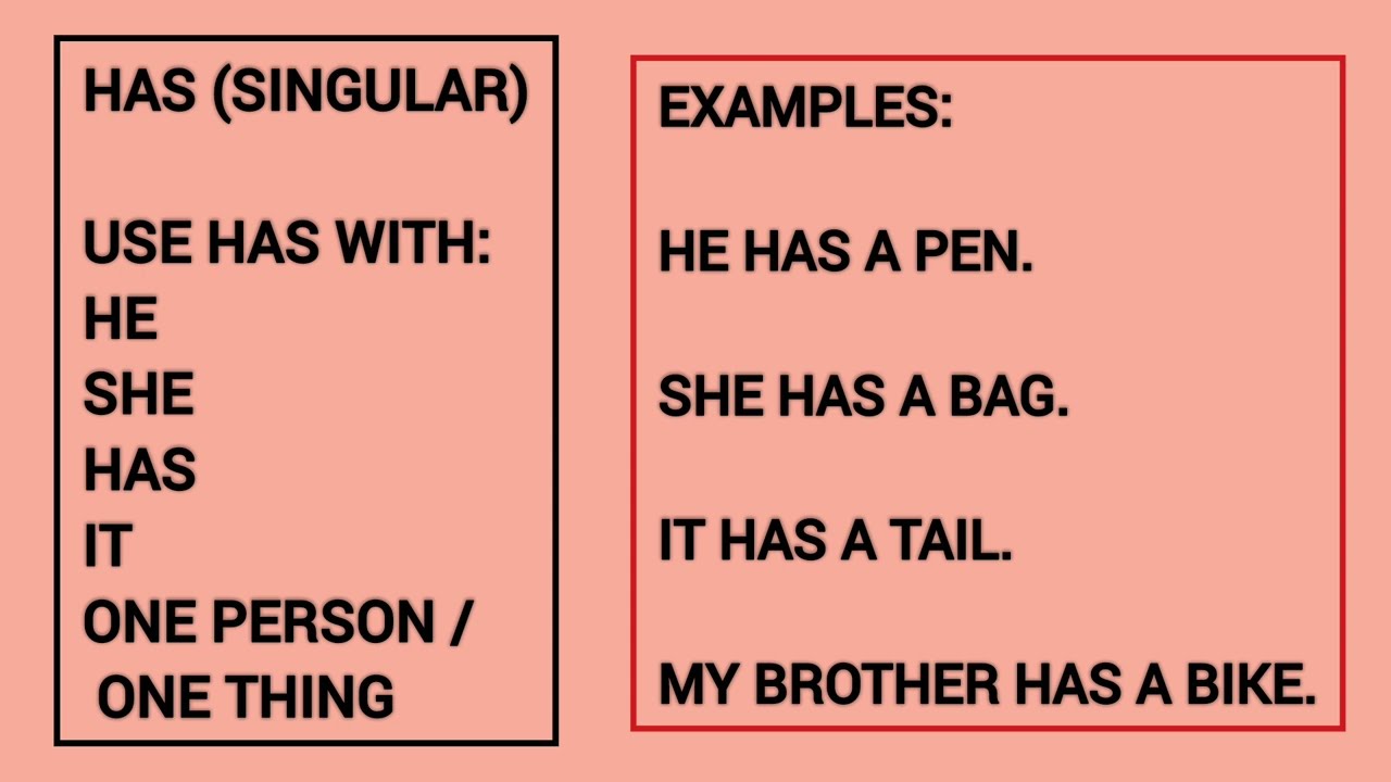  How to learn when to use HAS and HAVE with simple rules and examples|HAS vs HAVE Explained|