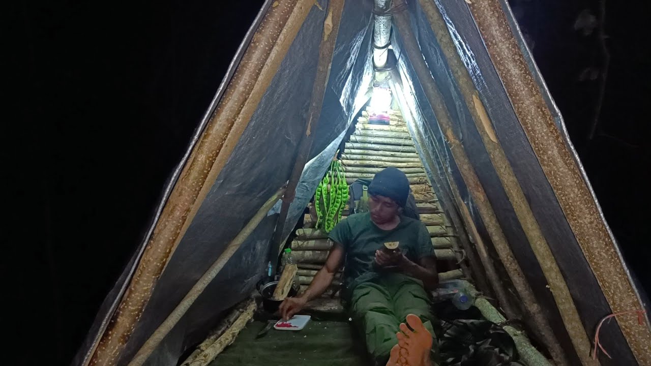 CAMPING BUSHCRAFT MEMBUAT SHELTER DI POHON DENGAN AKAR ,HUJAN SAAT PETUALANG