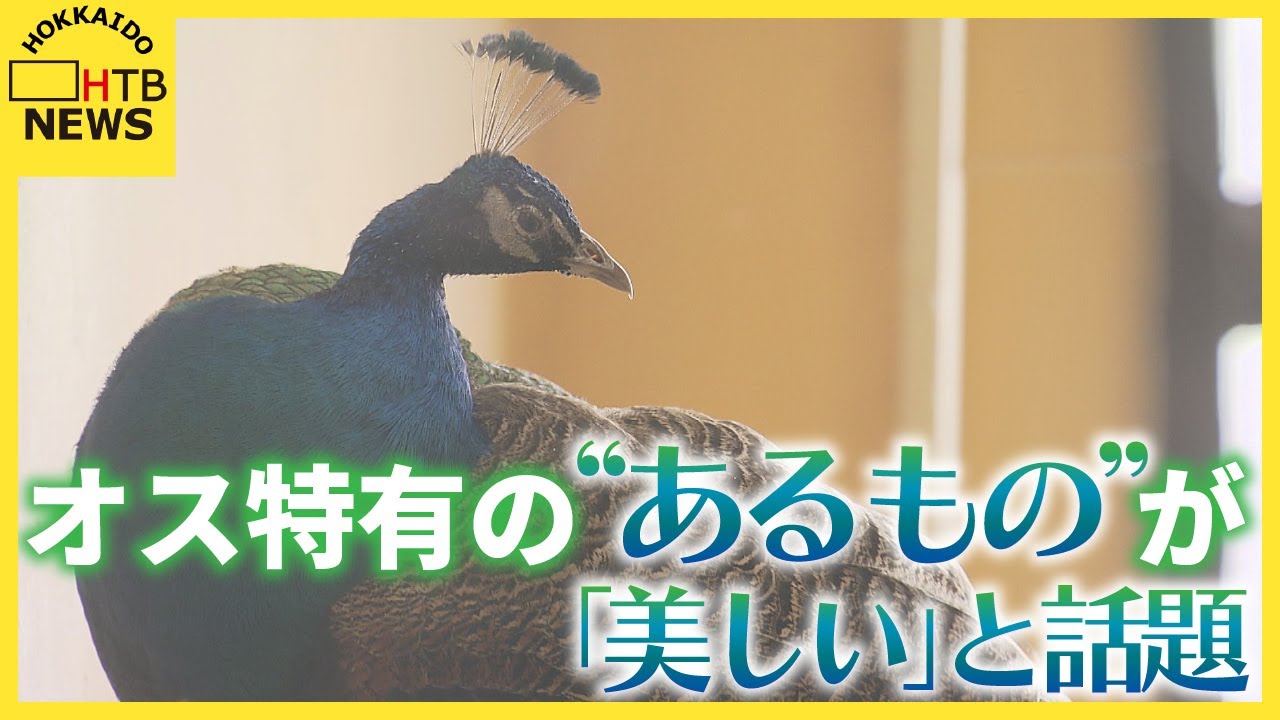 飼育員「あれ？って思ってるうちにどんどん」オスにしかない
