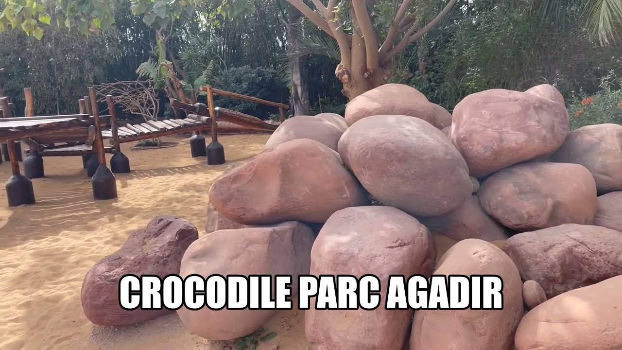 #crocodile #agadir   # croco parc agadir  #  crodile maroc  #